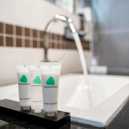 Zum Gruenen Baum Frankfurt Airport בית הארחה 3*