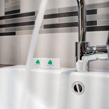 Zum Gruenen Baum Frankfurt Airport 3*