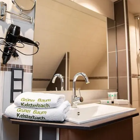 Zum Gruenen Baum Frankfurt Airport קלסטרבאך