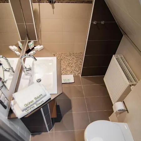 Zum Gruenen Baum Frankfurt Airport 3* קלסטרבאך