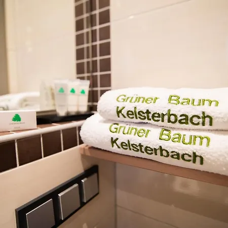 Zum Gruenen Baum Frankfurt Airport Guest house 3*