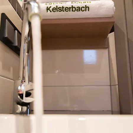 Guest house Zum Gruenen Baum Frankfurt Airport 3*