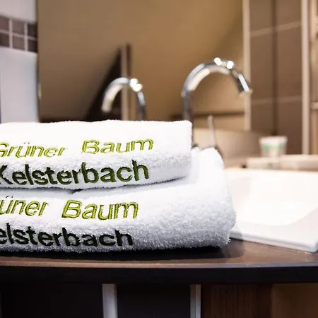 Zum Gruenen Baum Frankfurt Airport Guest house Kelsterbach