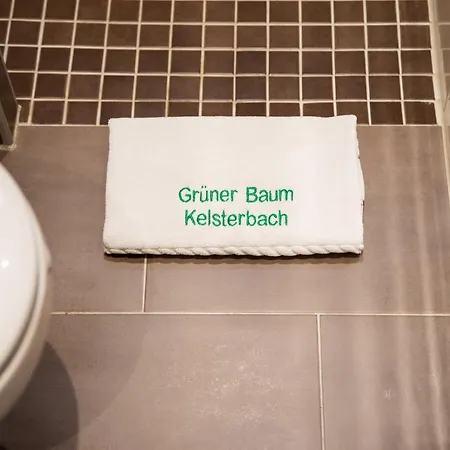 Guest house Zum Gruenen Baum Frankfurt Airport