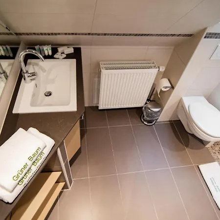 Zum Gruenen Baum Frankfurt Airport Guest house Kelsterbach