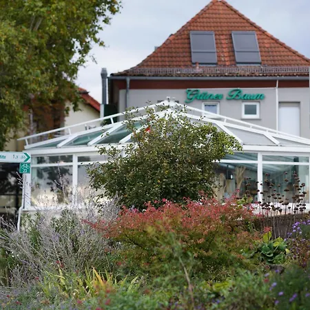 Guest house Zum Gruenen Baum Frankfurt Airport 2*