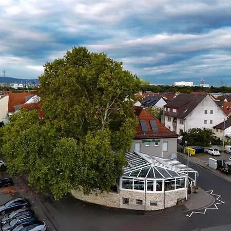 Zum Gruenen Baum Frankfurt Airport 2*