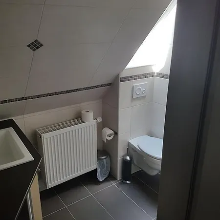 בית הארחה Zum Gruenen Baum Frankfurt Airport