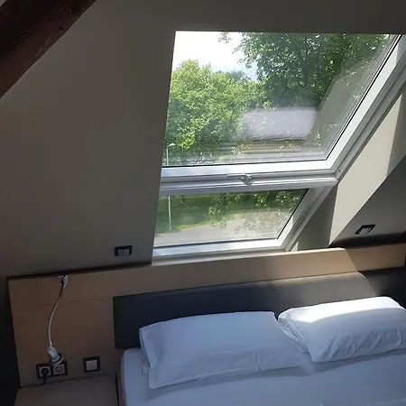 Zum Gruenen Baum Frankfurt Airport בית הארחה קלסטרבאך