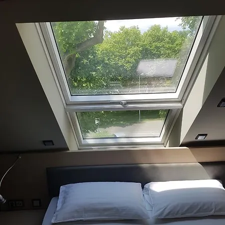 Zum Gruenen Baum Frankfurt Airport Guest house 2*