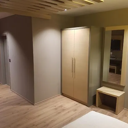 Guest house Zum Gruenen Baum Frankfurt Airport 3*