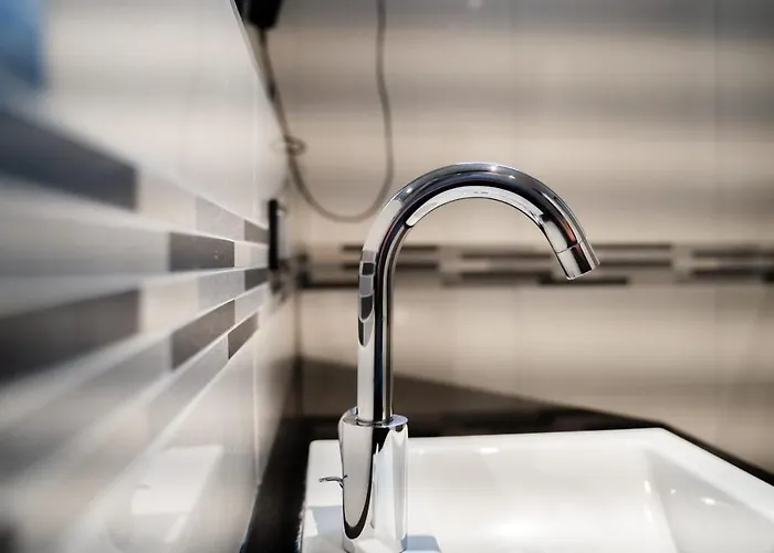 Zum Gruenen Baum Frankfurt Airport Casa de hóspedes 3*