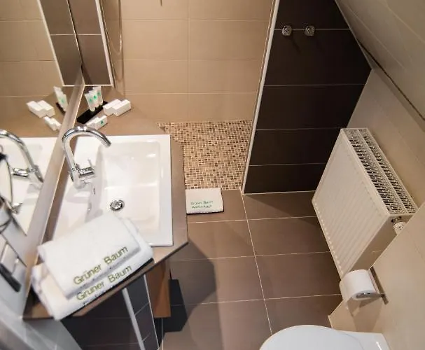 Zum Gruenen Baum Frankfurt Airport 3* Kelsterbach