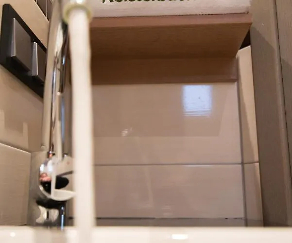 Casa de hóspedes Zum Gruenen Baum Frankfurt Airport 3*