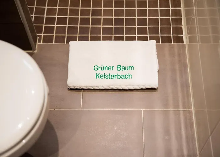 Casa de hóspedes Zum Gruenen Baum Frankfurt Airport