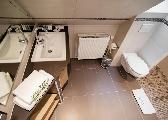 Zum Gruenen Baum Frankfurt Airport Casa de hóspedes Kelsterbach