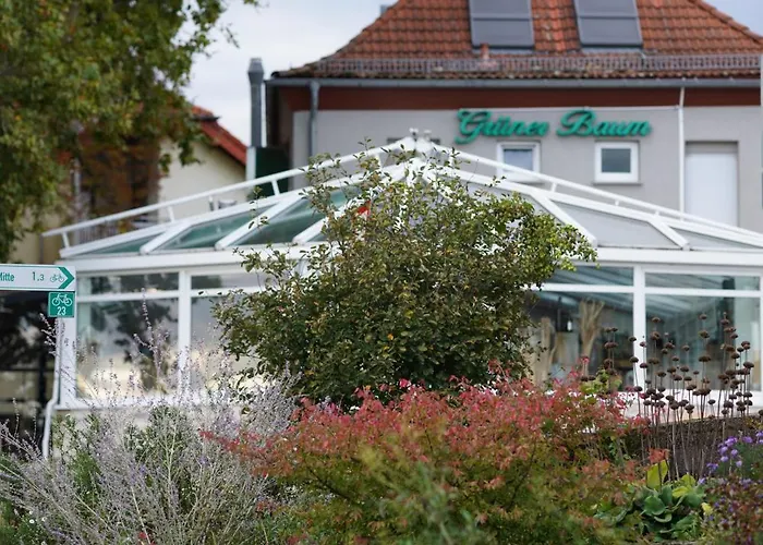 Casa de hóspedes Zum Gruenen Baum Frankfurt Airport 3*