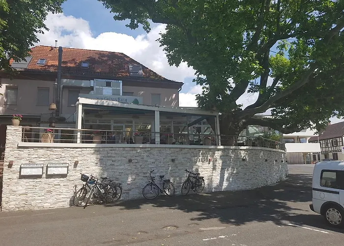 Zum Gruenen Baum Frankfurt Airport Casa de hóspedes